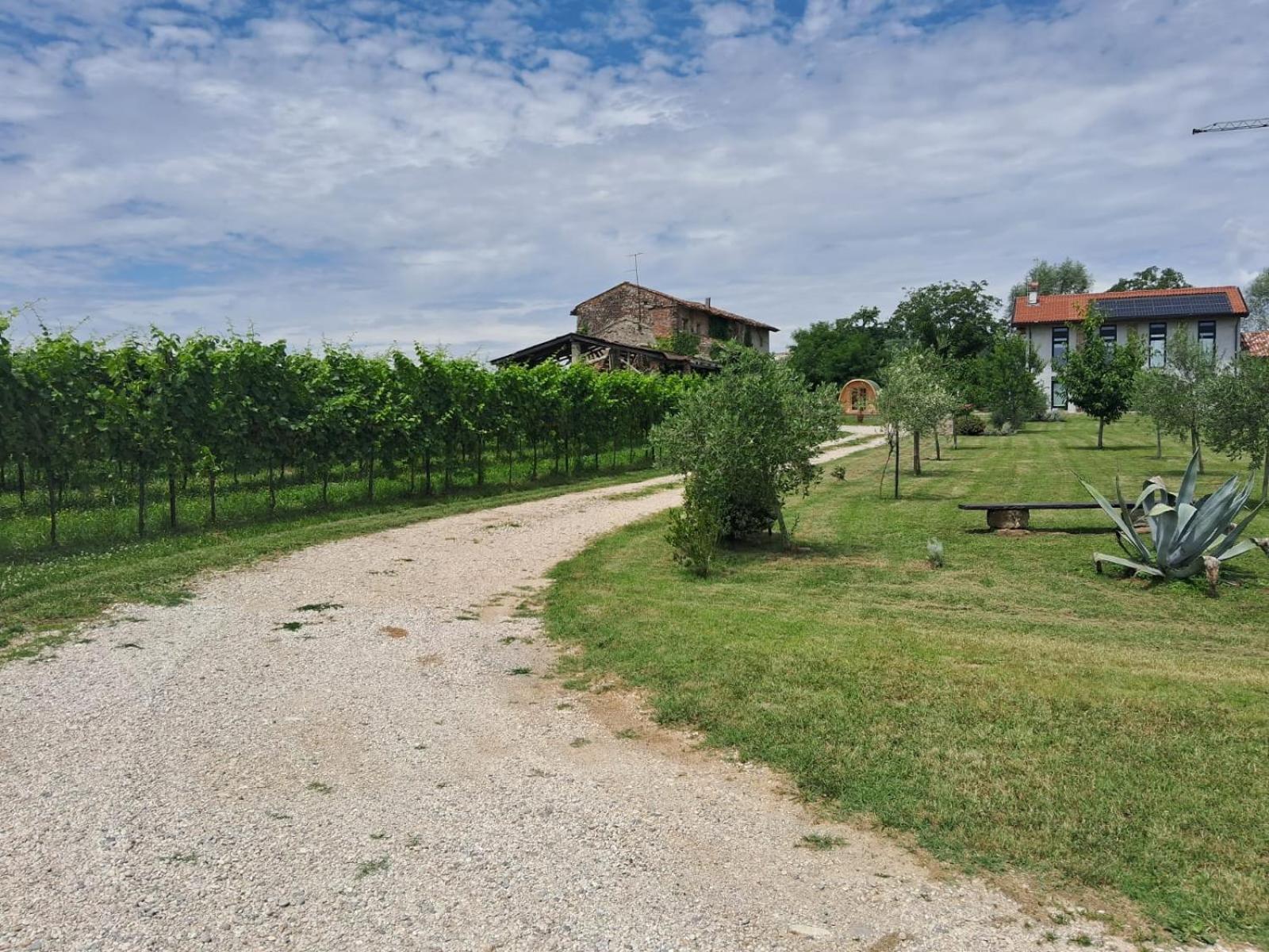 Casa Zafferano - Apartment With Garden Corno di Rosazzo Exterior photo